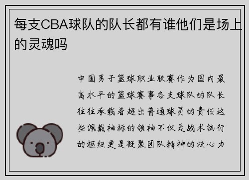 每支CBA球队的队长都有谁他们是场上的灵魂吗